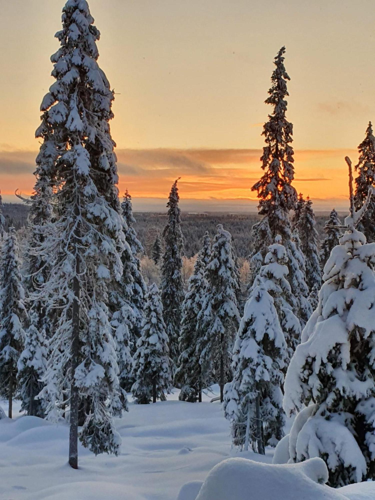 Hietavilla Borealis Ruka Buitenkant foto